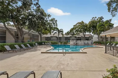 3806 N Oak Drive Tampa FL 33611