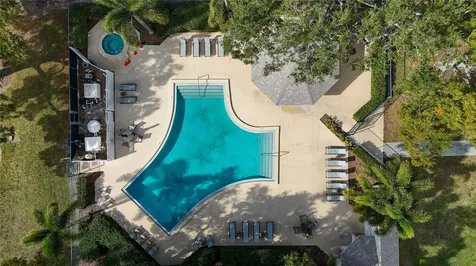 3806 N Oak Drive Tampa FL 33611