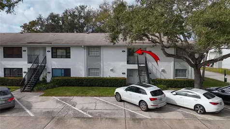 3806 N Oak Drive Tampa FL 33611