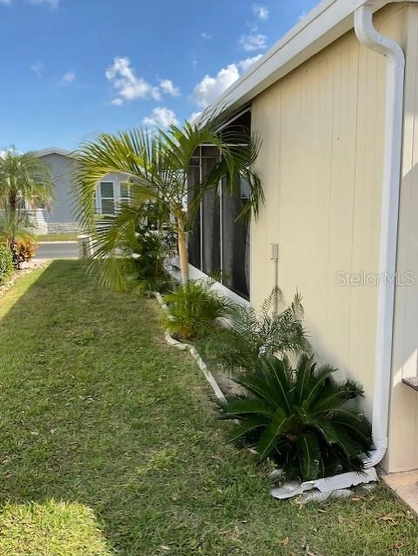 72 Pindo Palm Street W Largo FL 33770