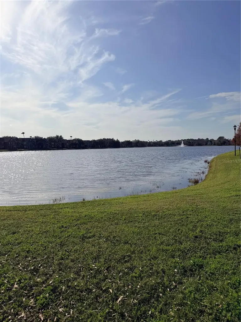 9818 Lake Chase Island Way Tampa FL 33626