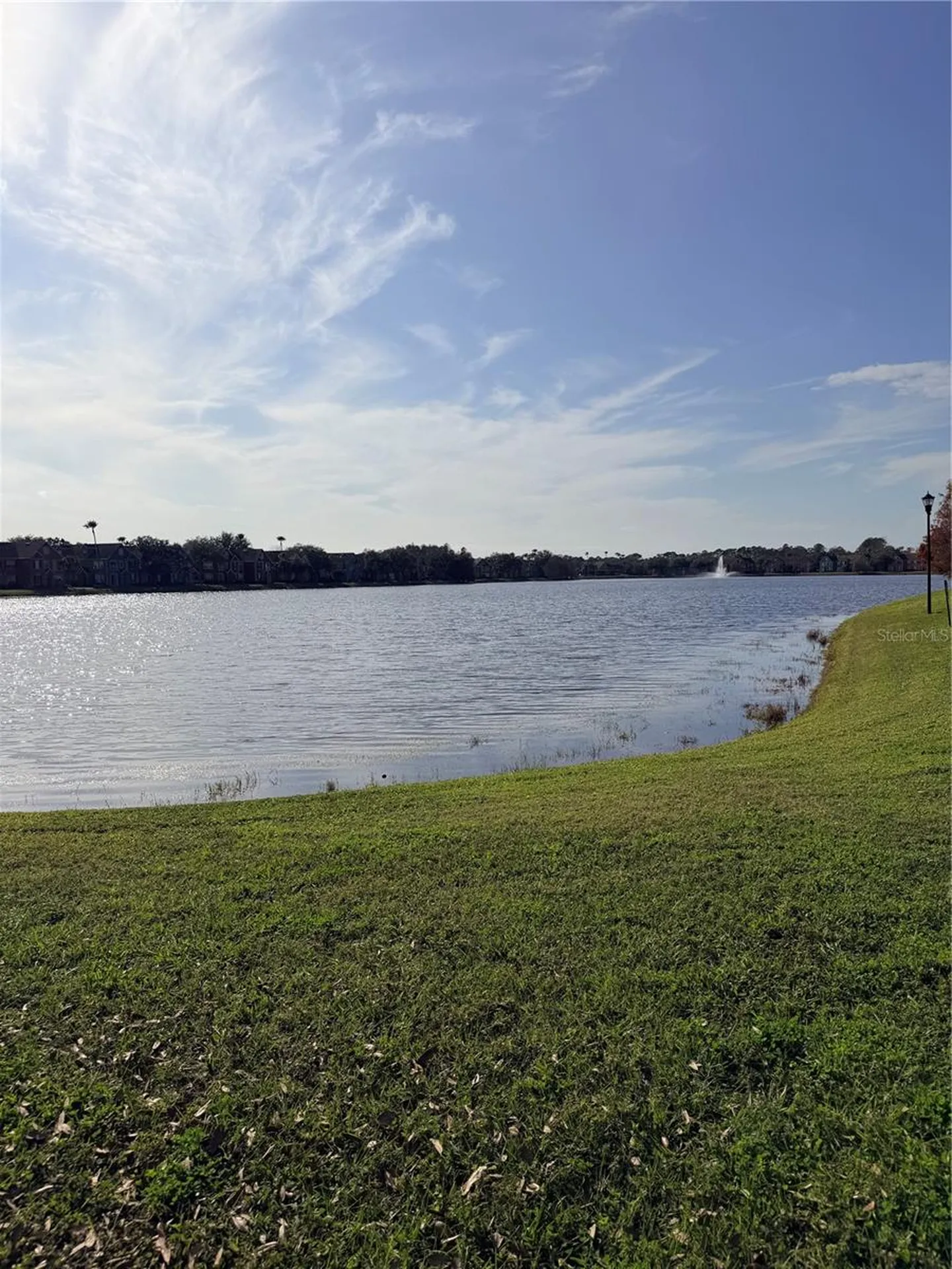 9818 Lake Chase Island Way Tampa FL 33626