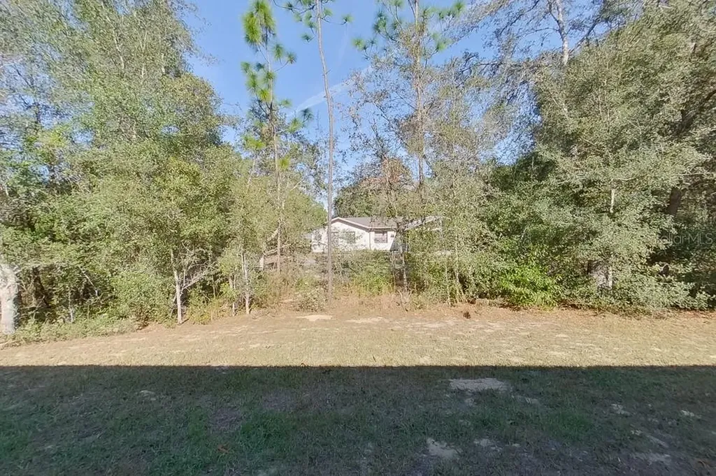 2799 W Sheila Drive Citrus Springs FL 34433