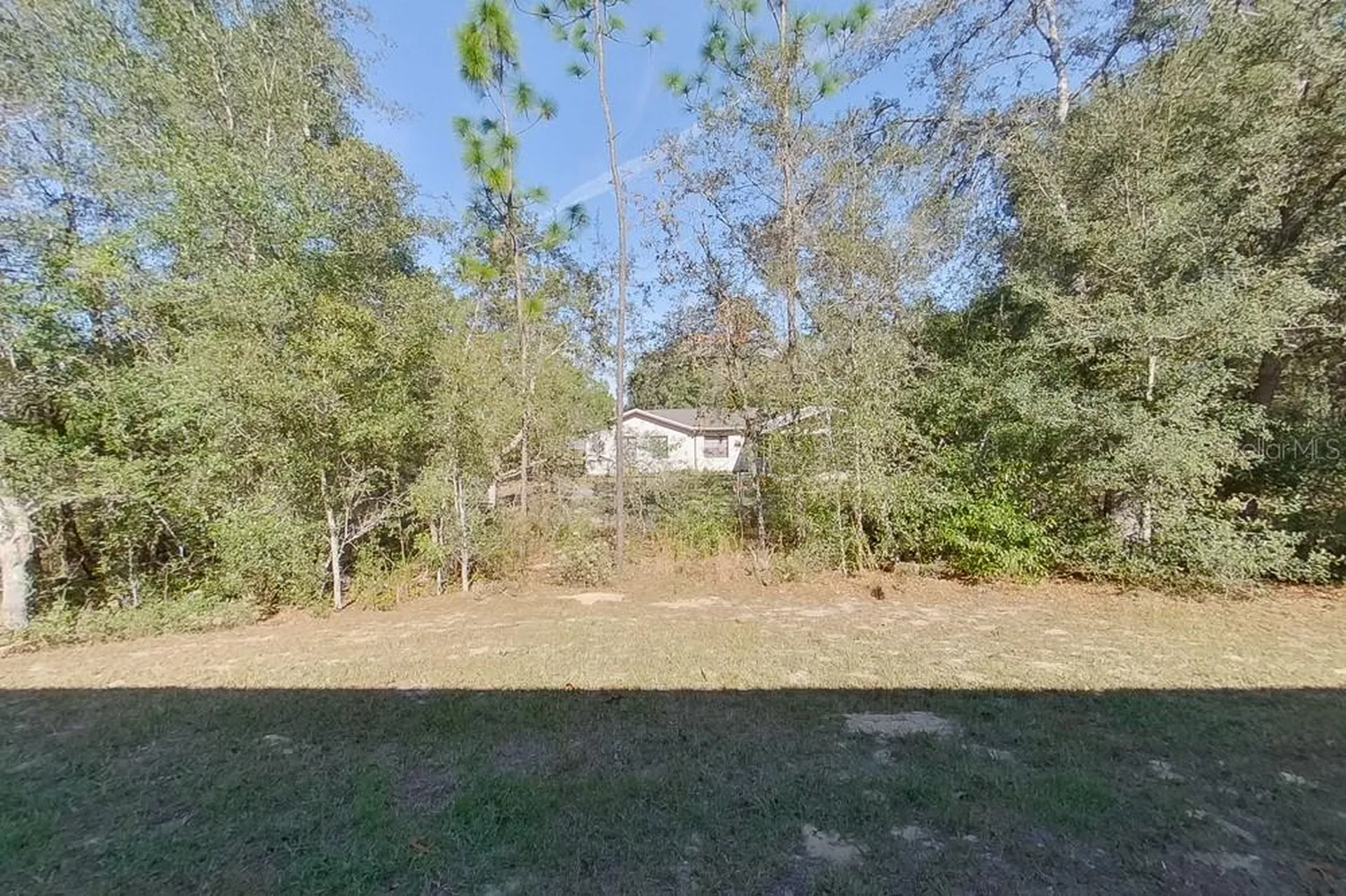2799 W Sheila Drive Citrus Springs FL 34433