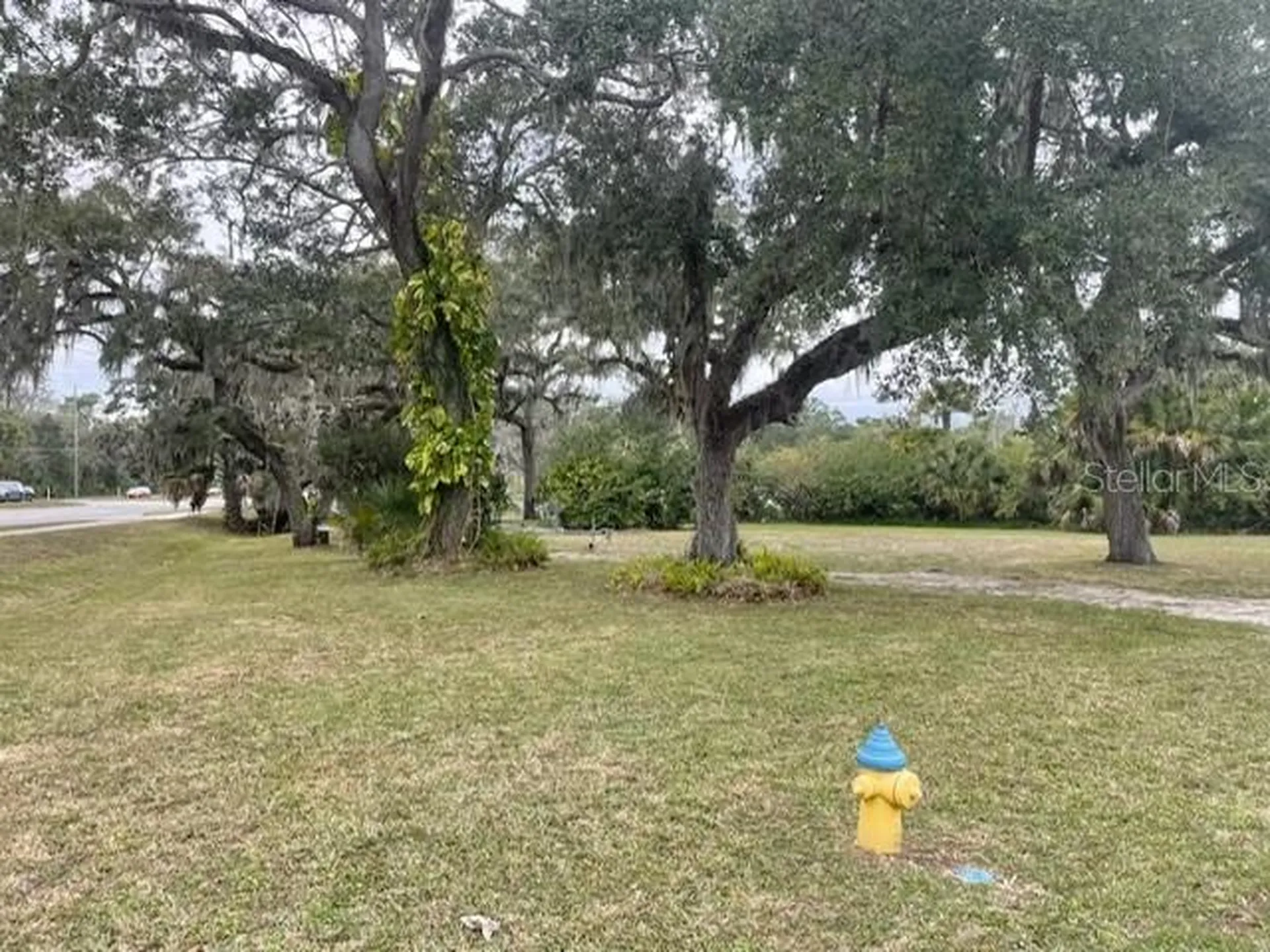 104 Ellison Avenue New Smyrna Beach FL 32168