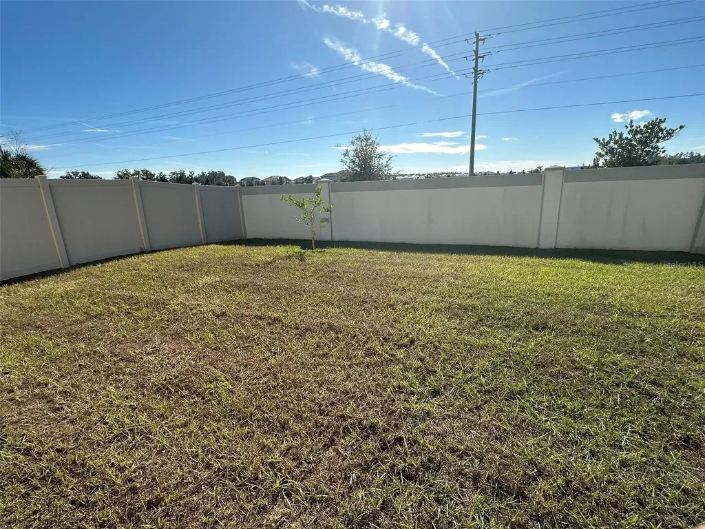 33762 Jasmine Star Loop Wesley Chapel FL 33543