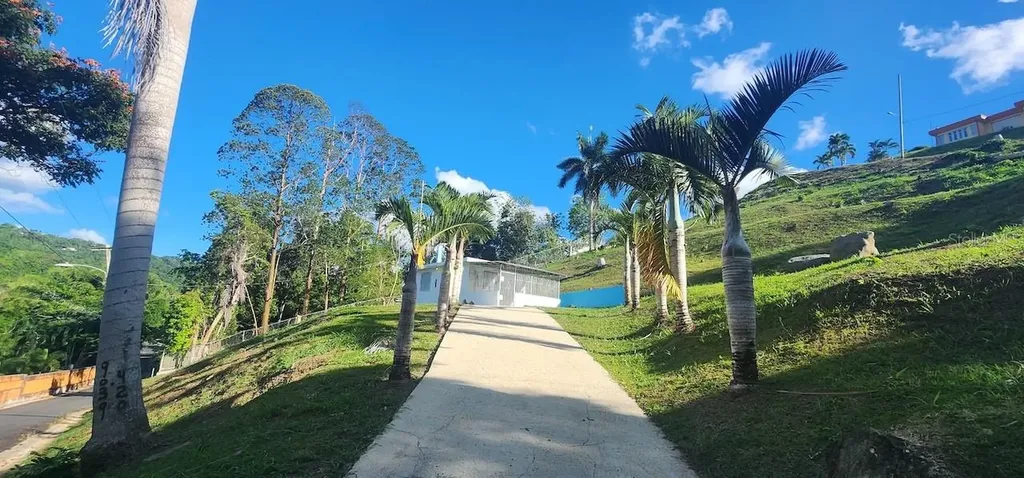 Km 12.2 Int Las Papayas Road (sr-185) Carolina PR 00987