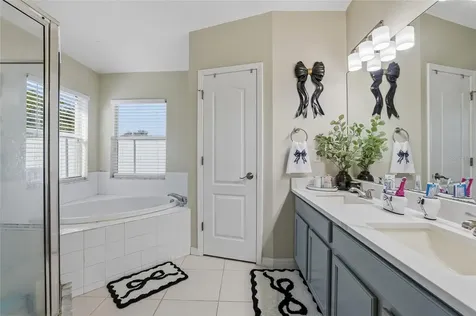 4145 Medbury Drive Wesley Chapel FL 33543