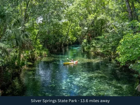 NE 165th Terrace Silver Springs FL 34488