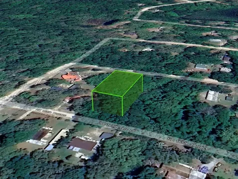 NE 165th Terrace Silver Springs FL 34488