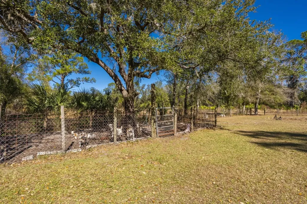 2207 SW Blossom Avenue Arcadia FL 34266