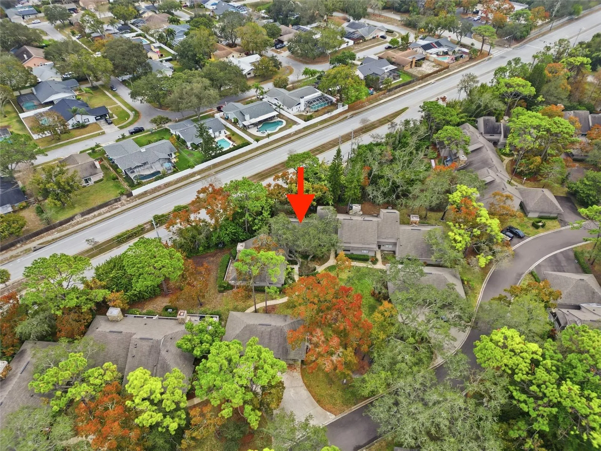 602 Old Mill Pond Road Palm Harbor FL 34683