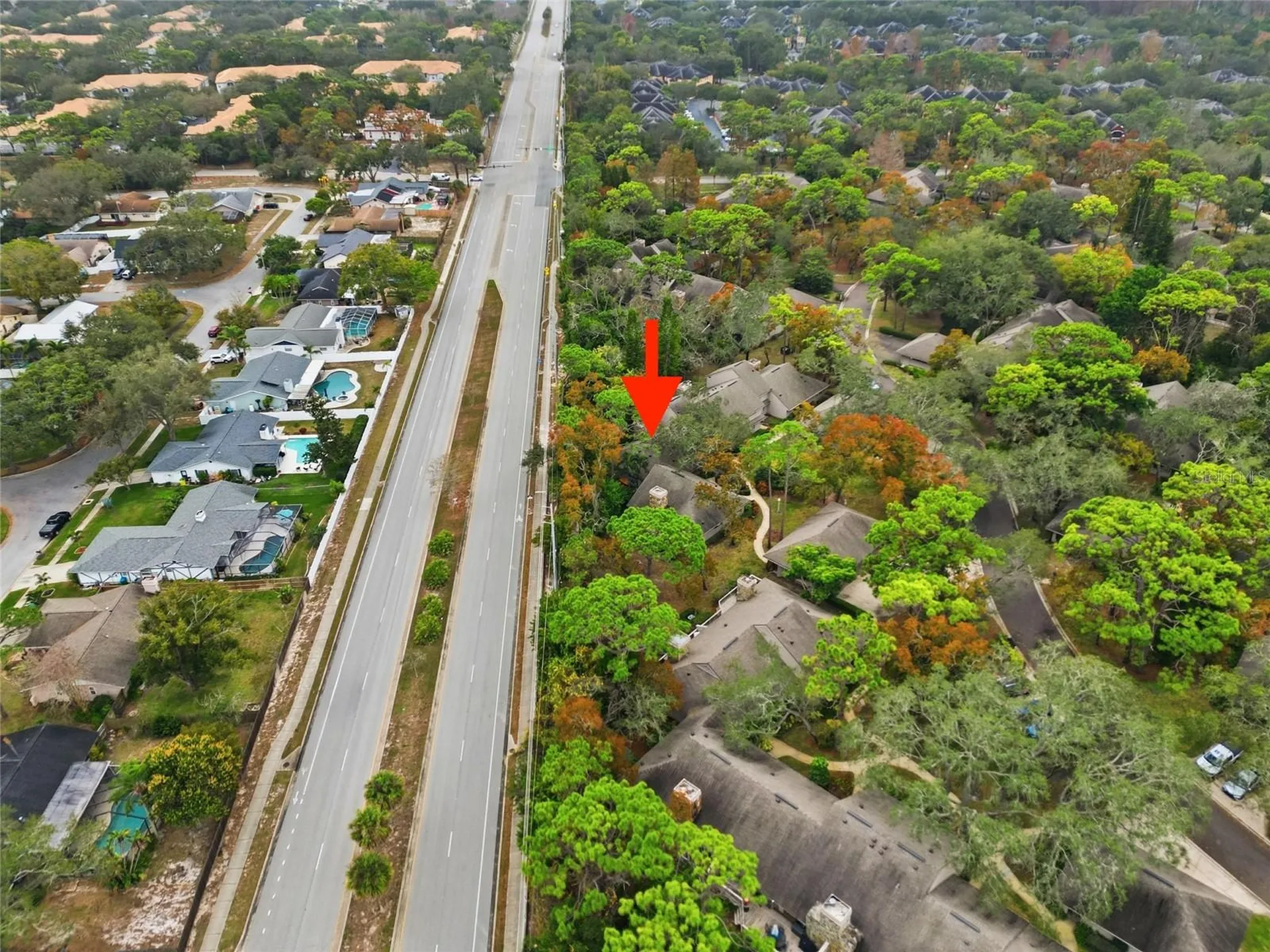 602 Old Mill Pond Road Palm Harbor FL 34683