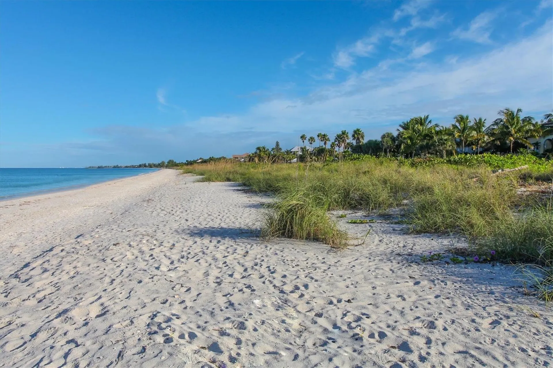 242 Hidden Bay Drive Osprey FL 34229