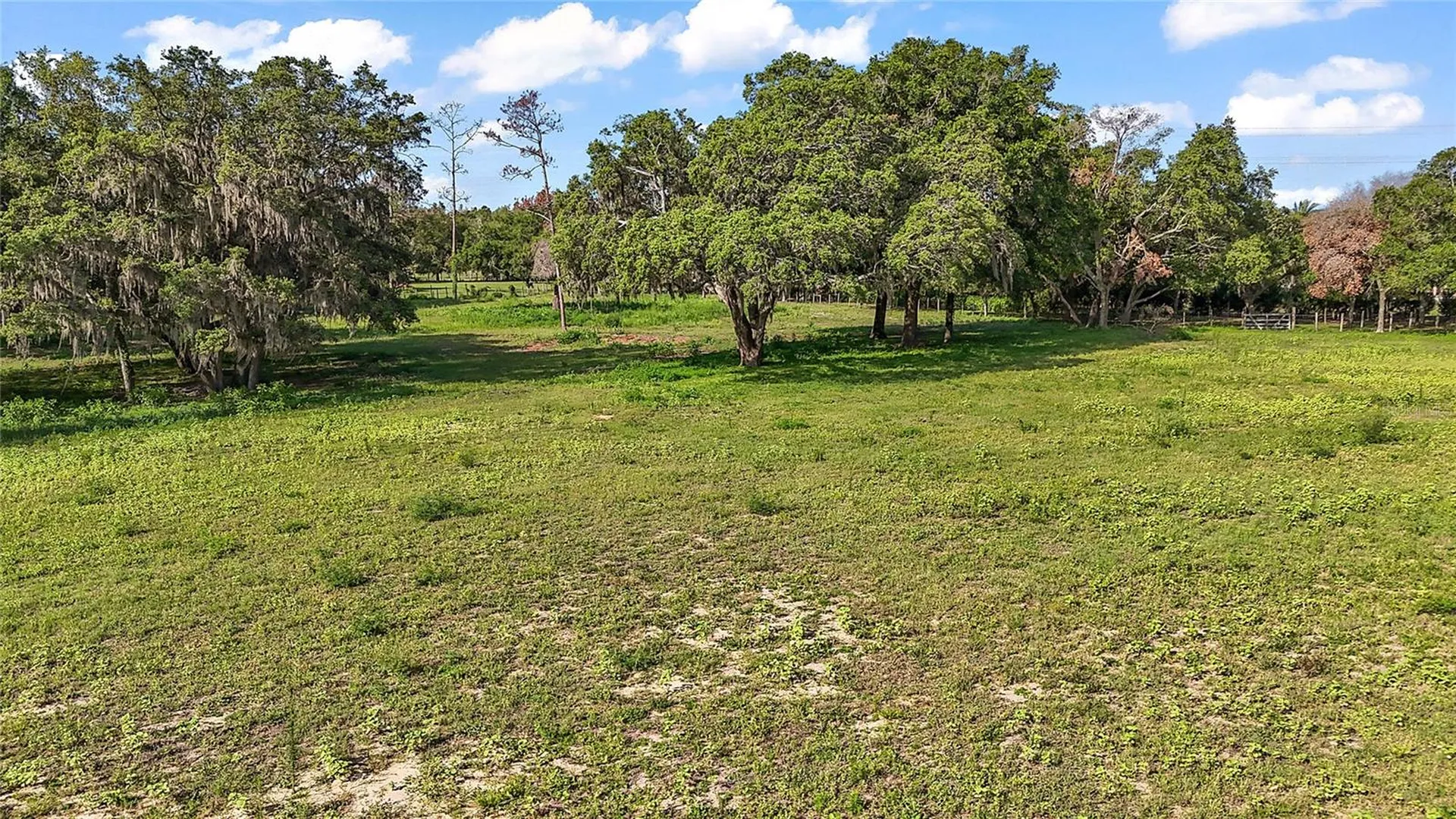 17952 Lookout Hill Road Winter Garden FL 34787