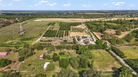 17952 Lookout Hill Road Winter Garden FL 34787