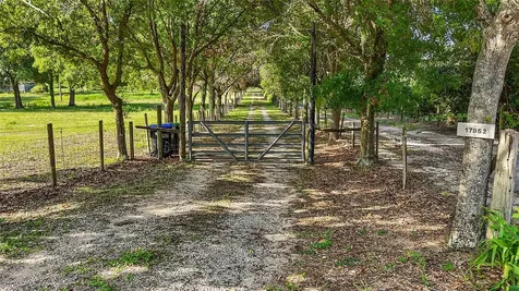 17952 Lookout Hill Road Winter Garden FL 34787
