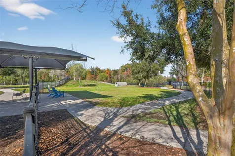 17268 Brighton Lake Road Land O Lakes FL 34638