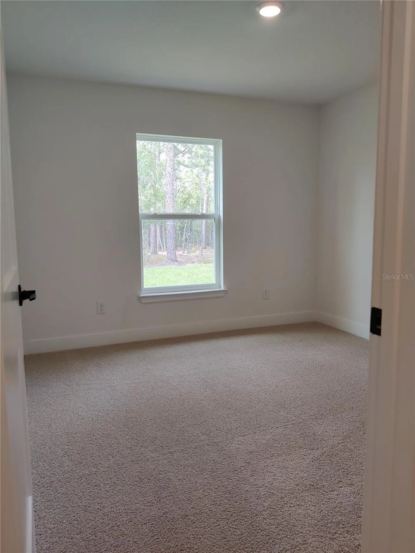 12275 Scarlet Ibis Avenue Weeki Wachee FL 34614