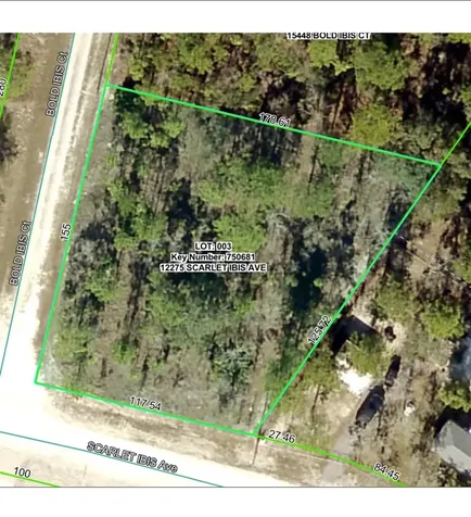 12275 Scarlet Ibis Avenue Weeki Wachee FL 34614