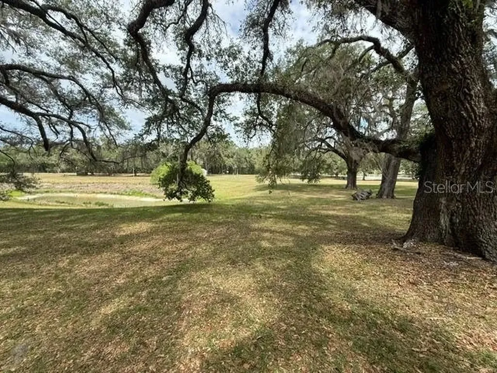 13787 SW 104th Lane Dunnellon FL 34432
