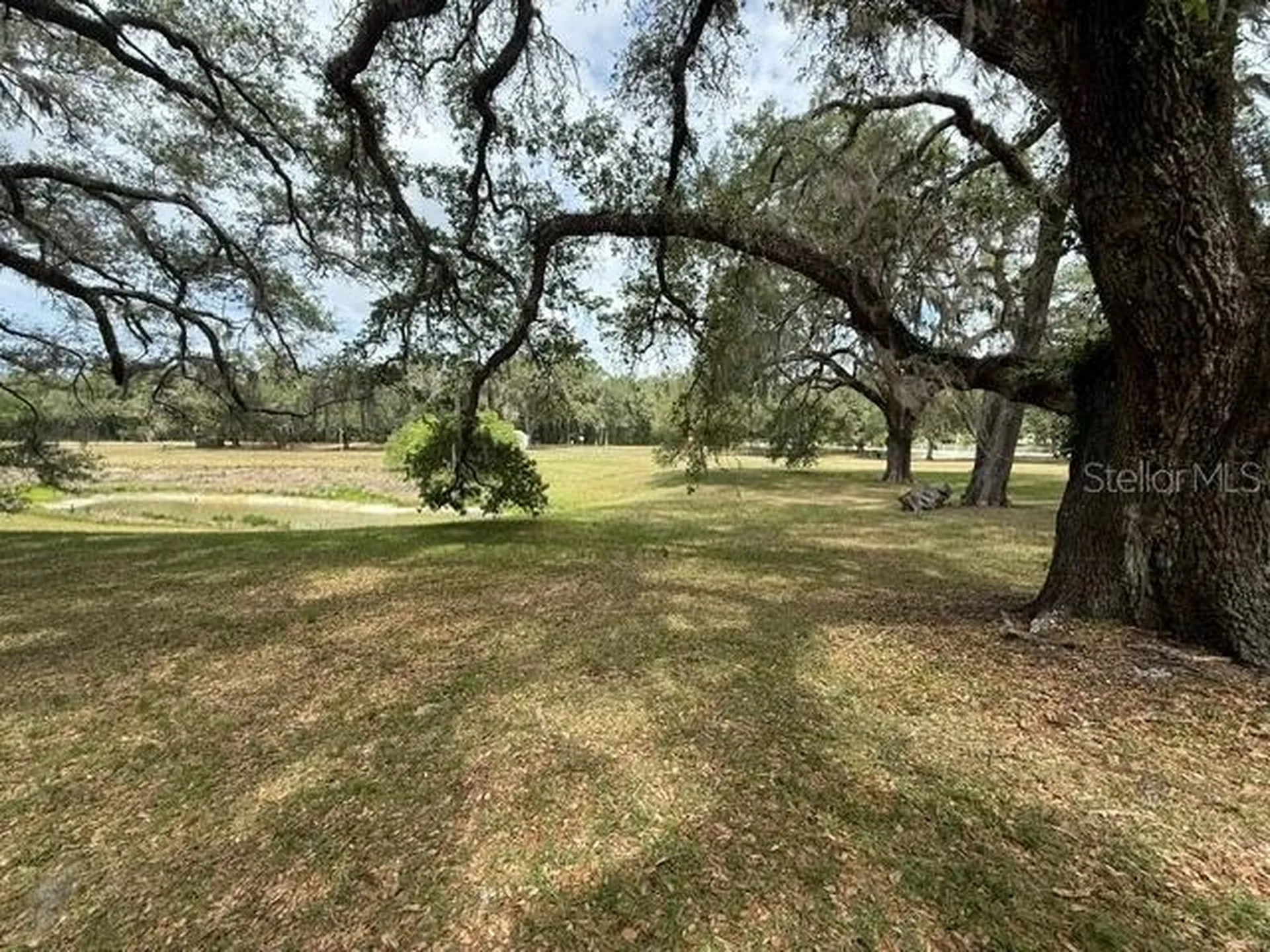 13787 SW 104th Lane Dunnellon FL 34432