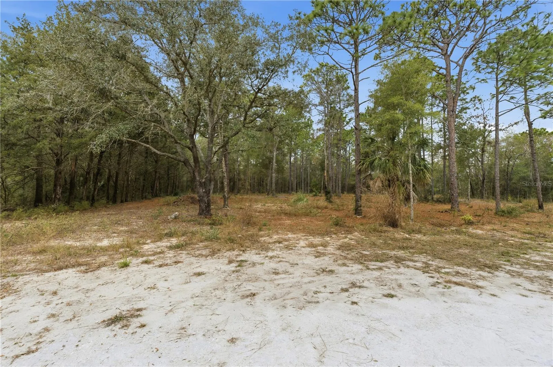 13409 Cormorant Road Brooksville FL 34614