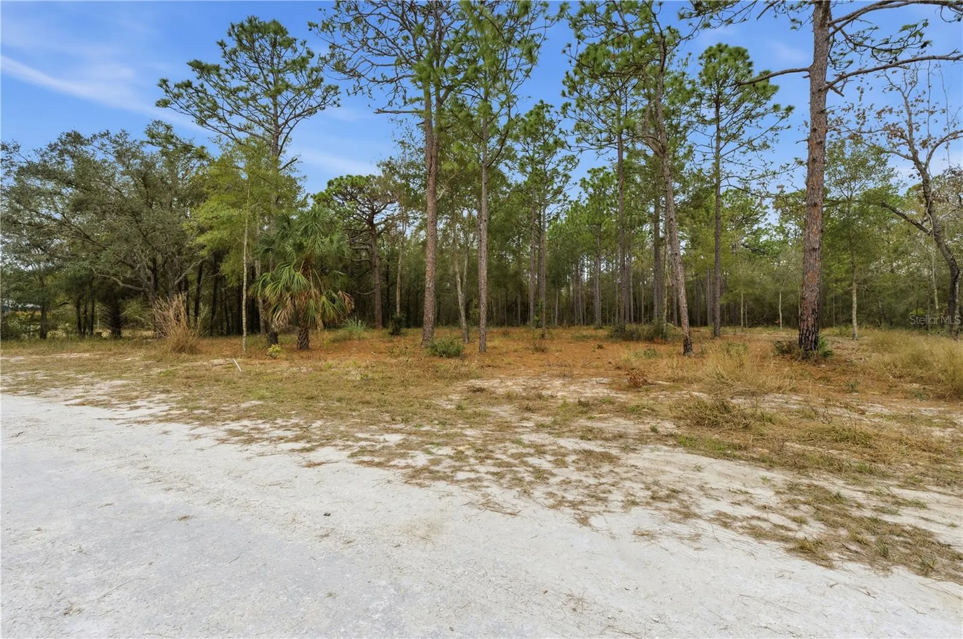 13409 Cormorant Road Brooksville FL 34614
