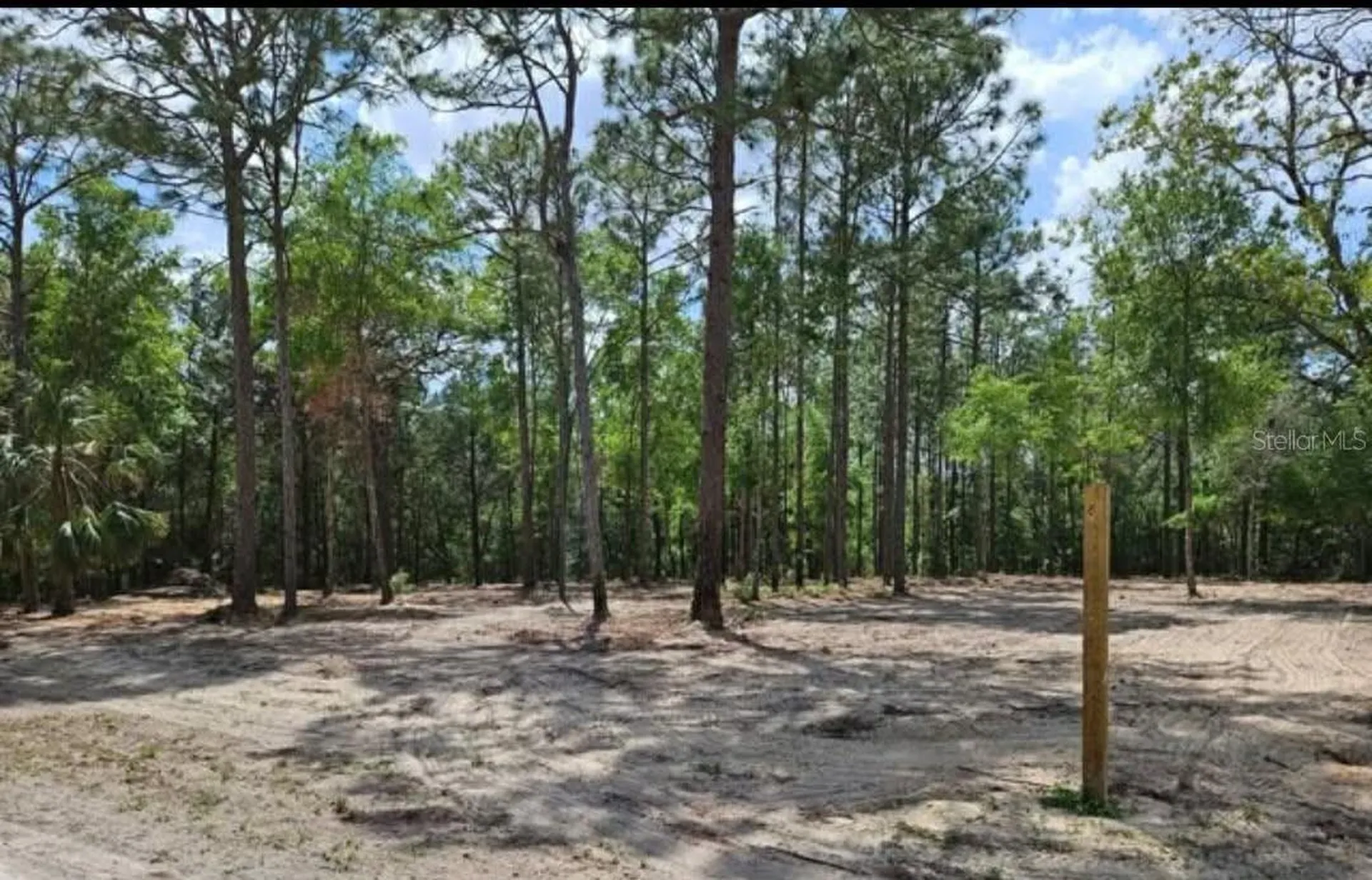 13409 Cormorant Road Brooksville FL 34614