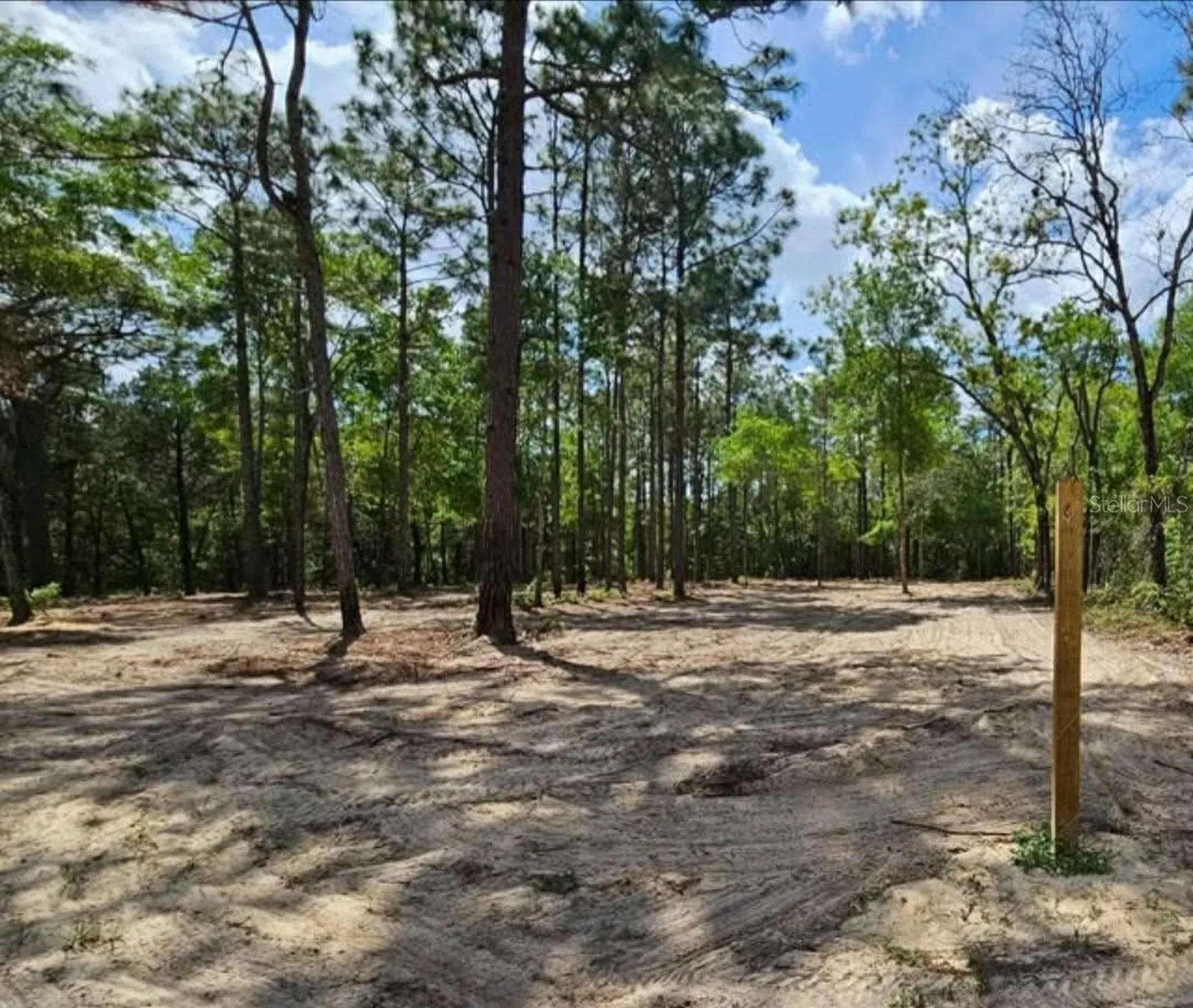 13409 Cormorant Road Brooksville FL 34614