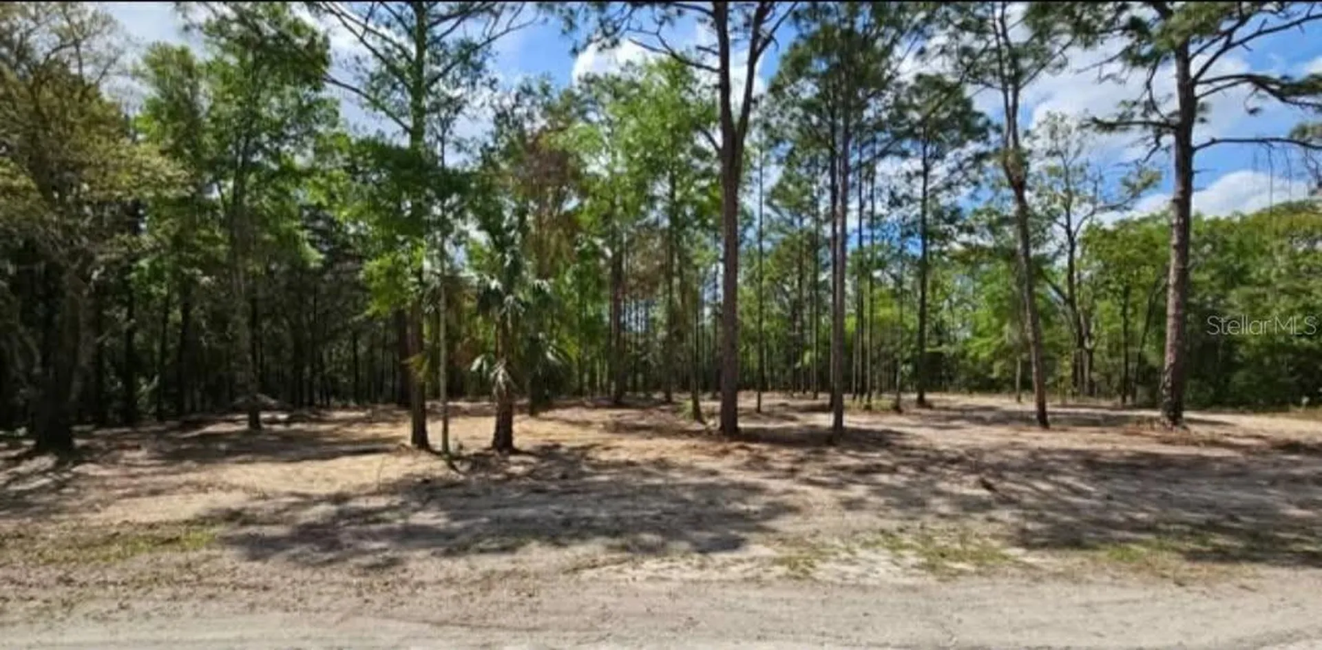 13409 Cormorant Road Brooksville FL 34614