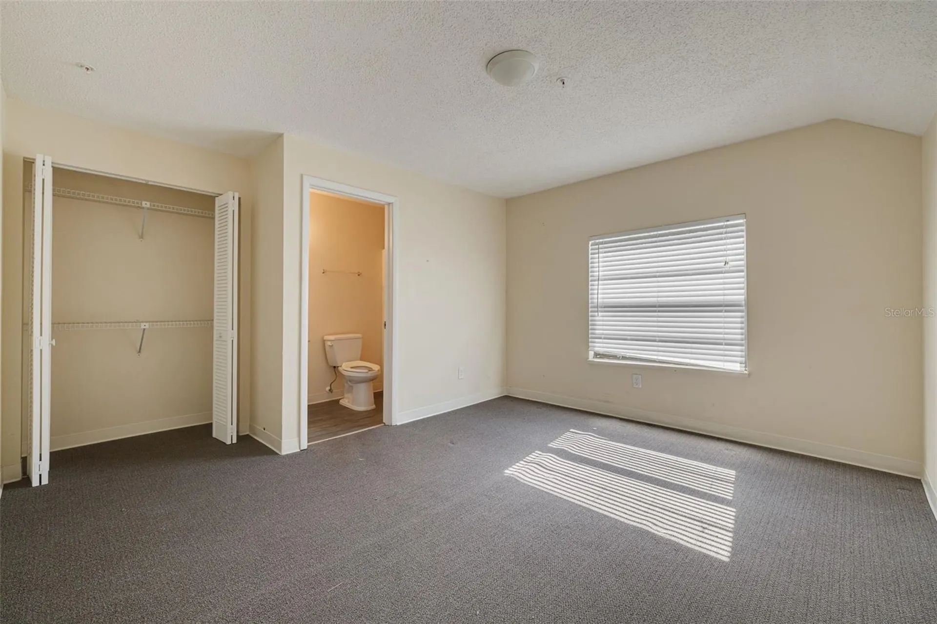 220 Scotland Street Dunedin FL 34698