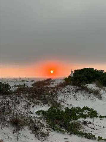 880 Mandalay Avenue Clearwater Beach FL 33767