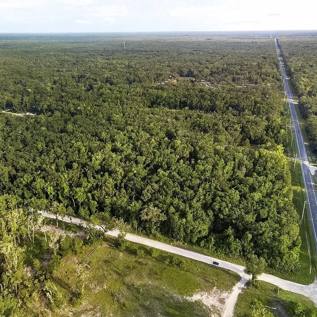 Tbd NE 349 Highway Old Town FL 32680