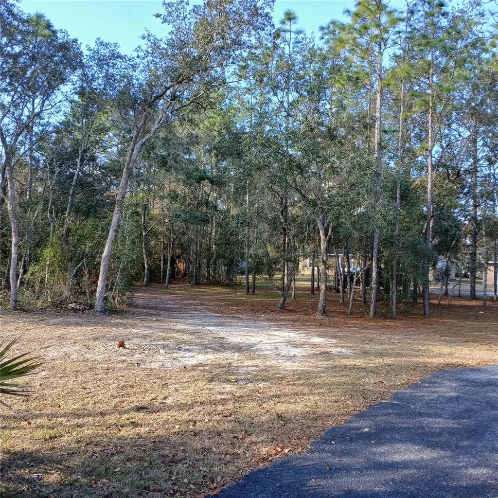 2626 S Columbine Avenue Homosassa FL 34448