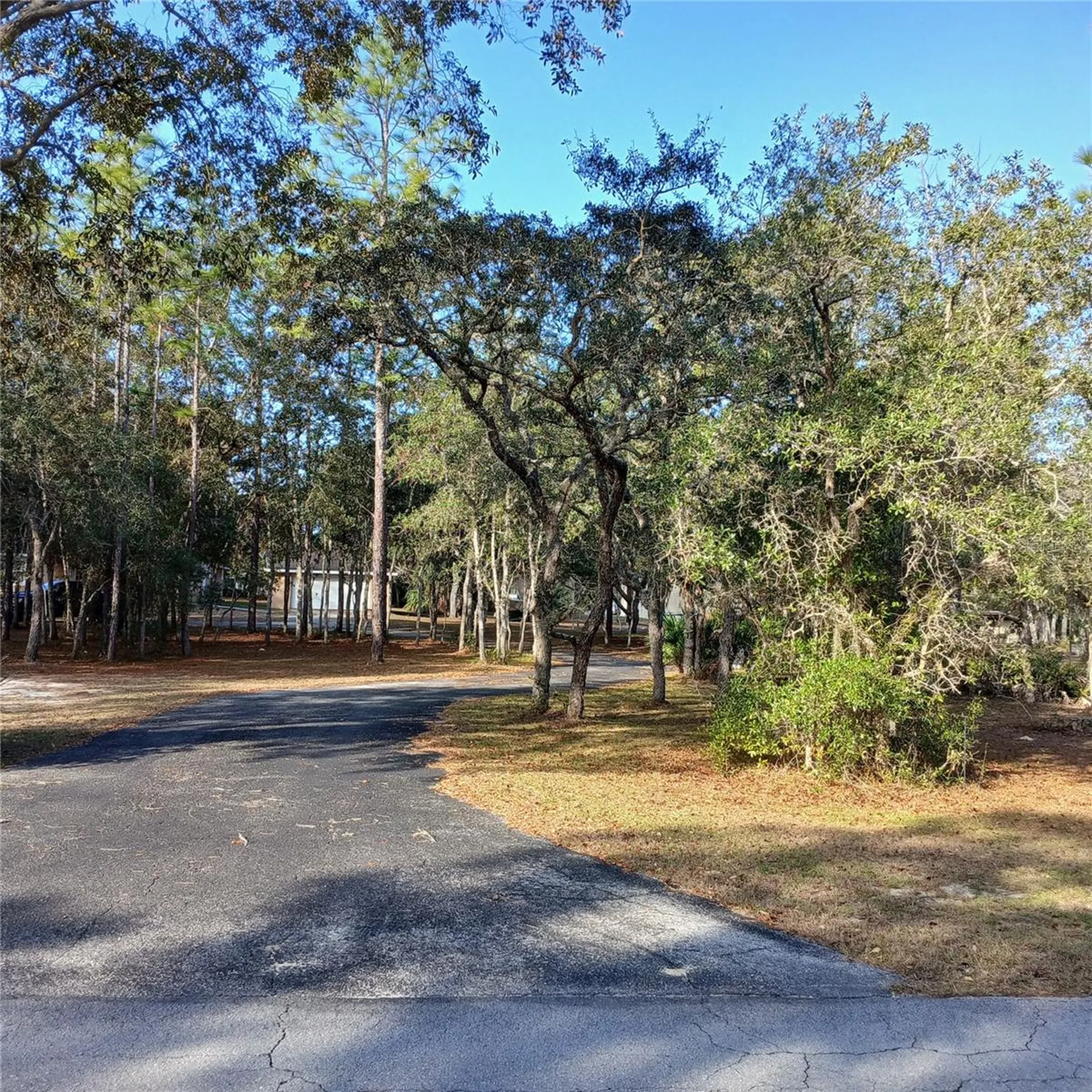2626 S Columbine Avenue Homosassa FL 34448