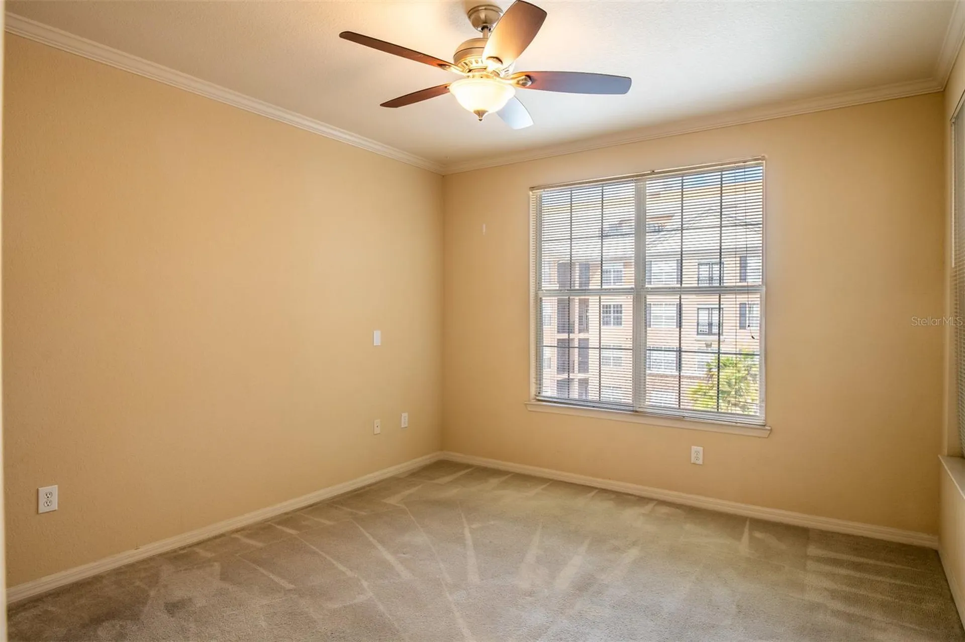 4221 W Spruce Street Tampa FL 33607