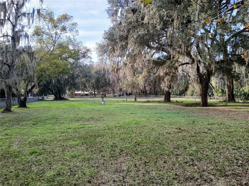 Cty Road 434b Lake Panasoffkee FL 33538