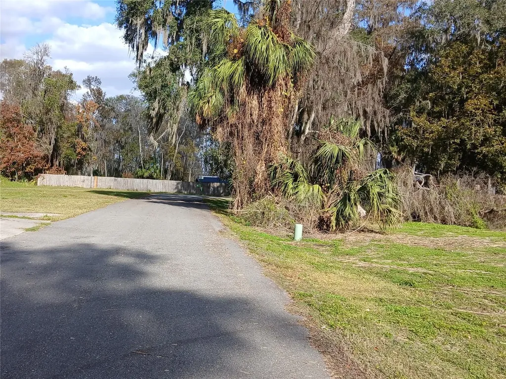 Cty Road 434b Lake Panasoffkee FL 33538