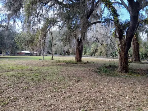 Cty Road 434b Lake Panasoffkee FL 33538