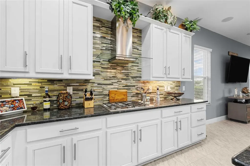 2611 Coco Palm Circle Wesley Chapel FL 33543