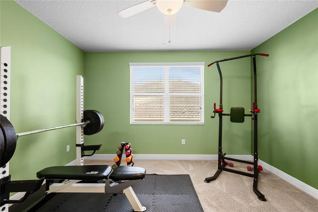 2611 Coco Palm Circle Wesley Chapel FL 33543