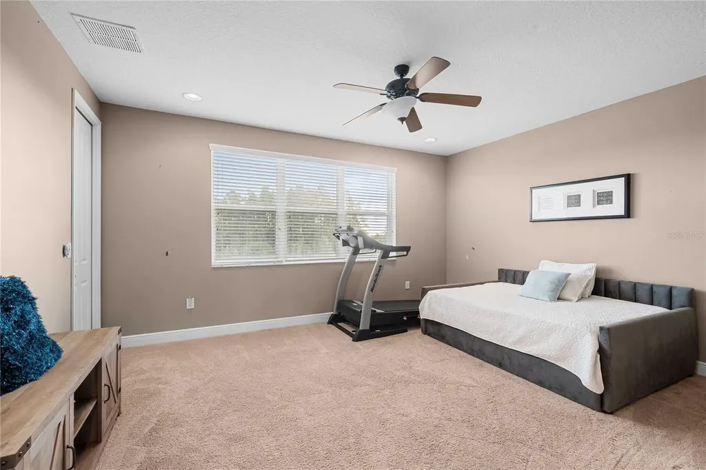 2611 Coco Palm Circle Wesley Chapel FL 33543