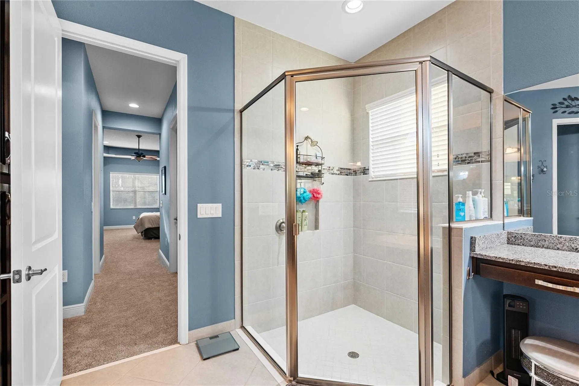 2611 Coco Palm Circle Wesley Chapel FL 33543