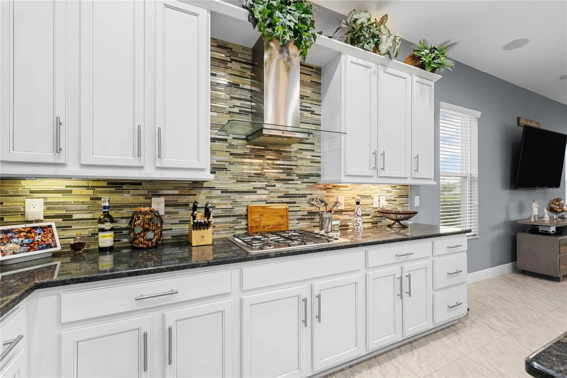 2611 Coco Palm Circle Wesley Chapel FL 33543