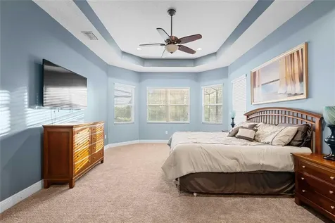 2611 Coco Palm Circle Wesley Chapel FL 33543
