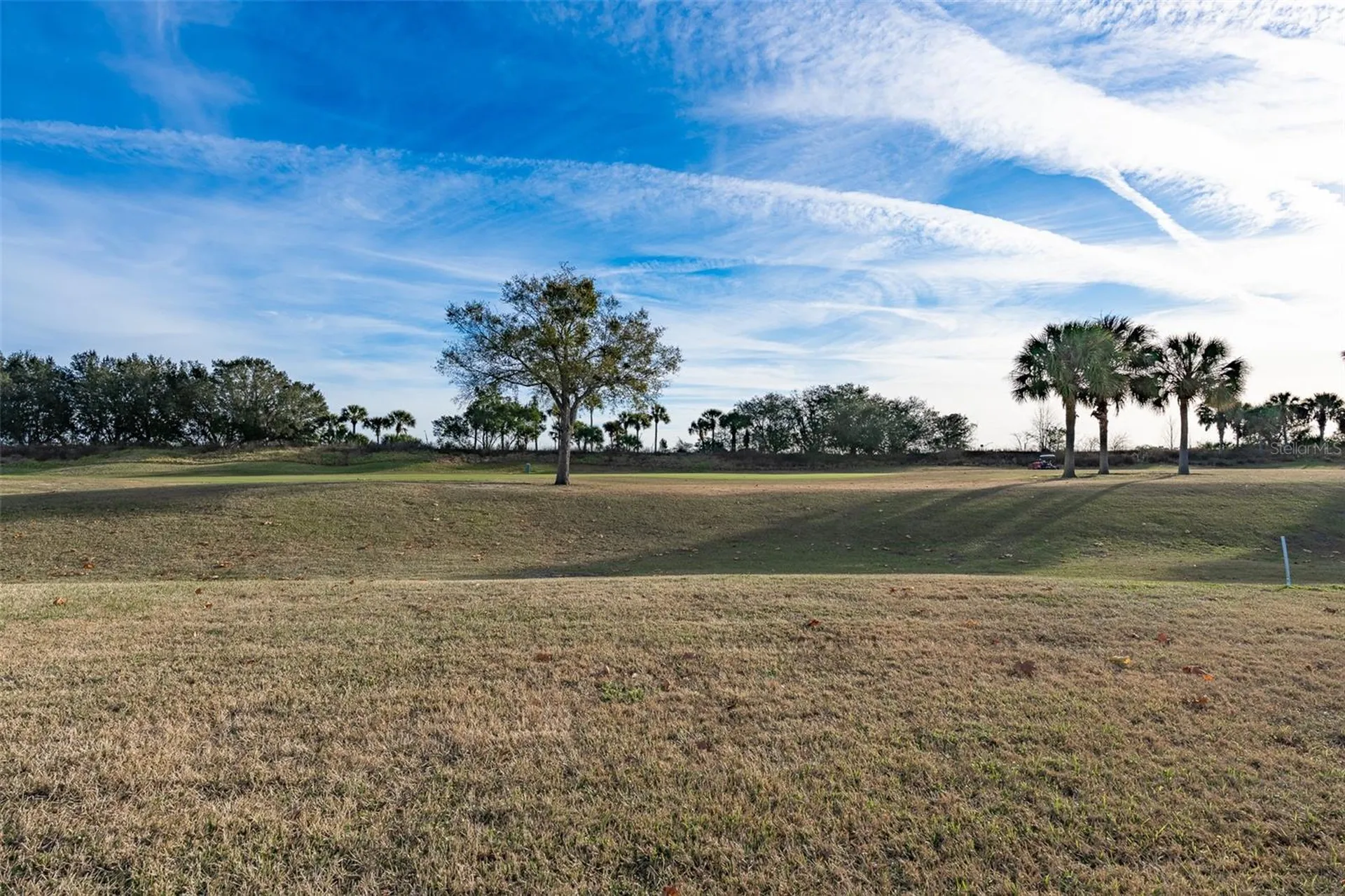 15803 SW 11th Court Road Ocala FL 34473