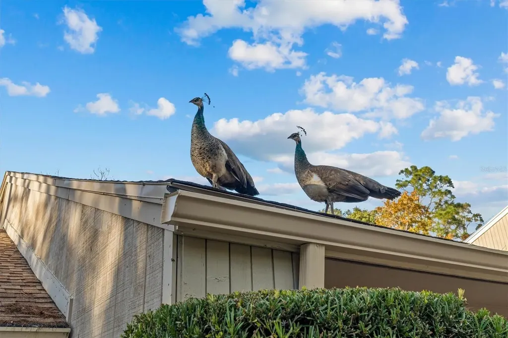 114 Juniper Lane Longwood FL 32779
