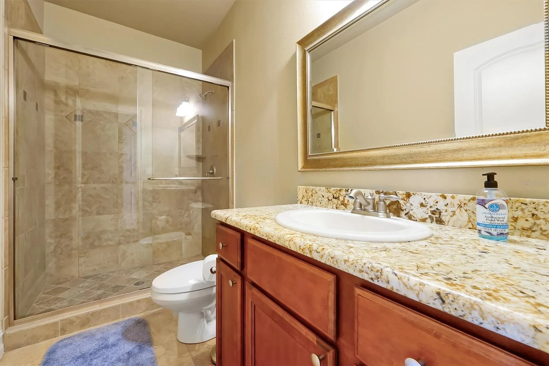 12012 Rambling Oak Boulevard Orlando FL 32832