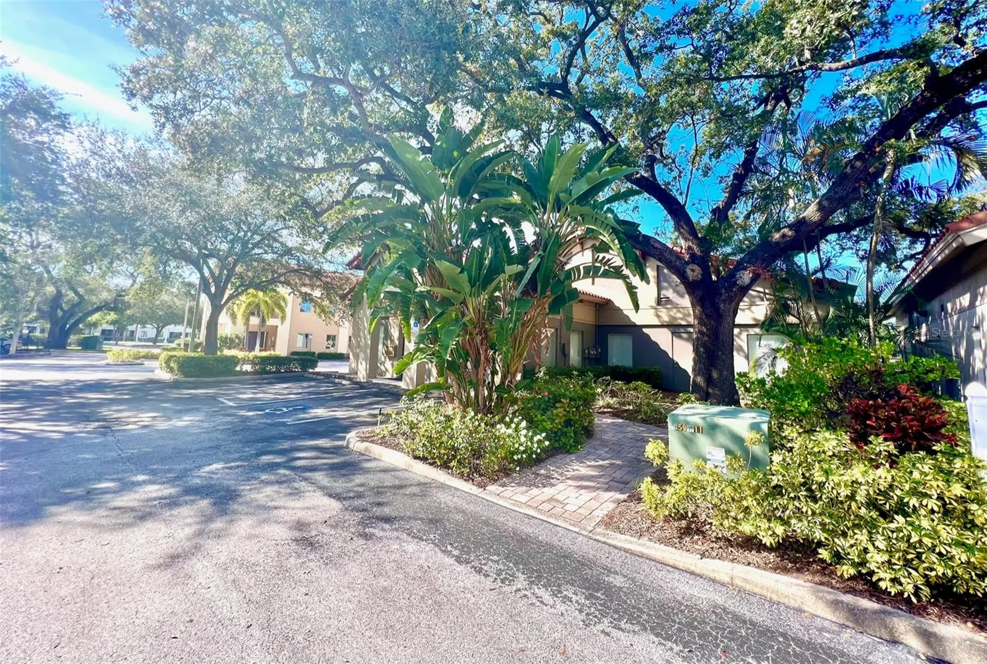 1550 W Cleveland Street Tampa FL 33606